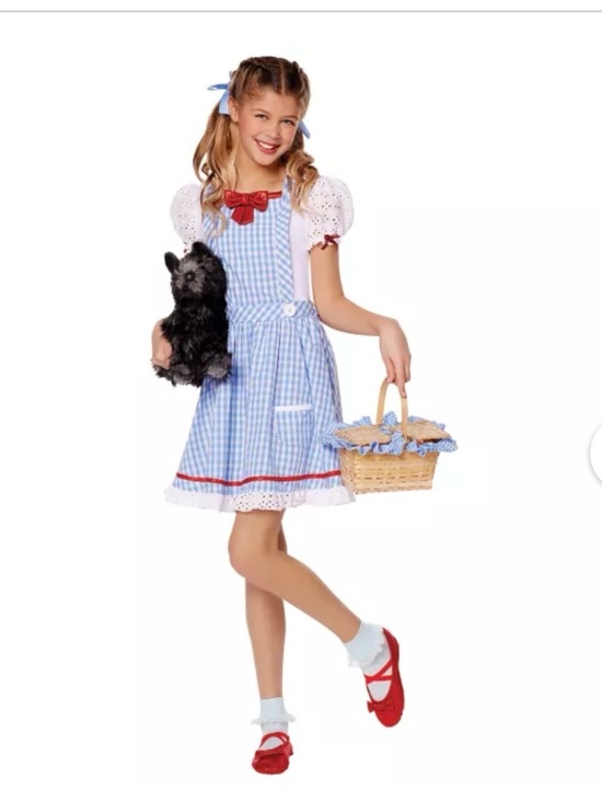 Spirit Other - Wizard of Oz Kids Dorothy Dress Halloween Costume -Spirit